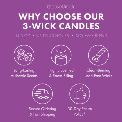 Coconut Beachwood 3-Wick Candle