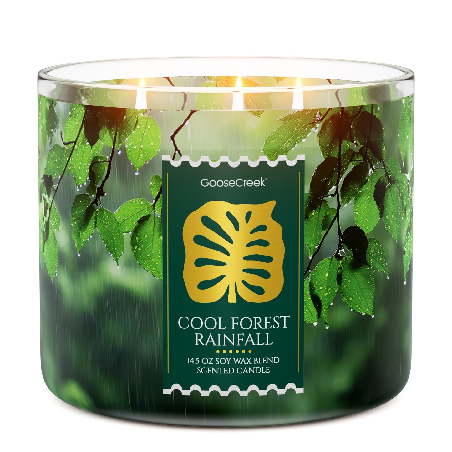 Cool Forest Rainfall 3-Wick Candle
