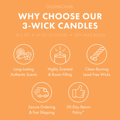 Georgia Peach 3-Wick Candle