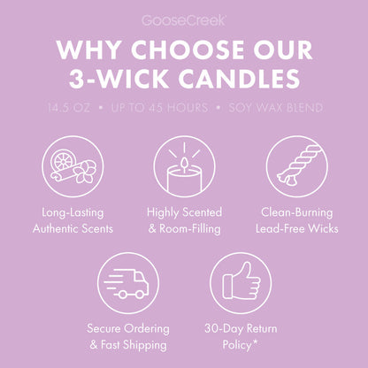 Grape Soda 3-Wick Candle