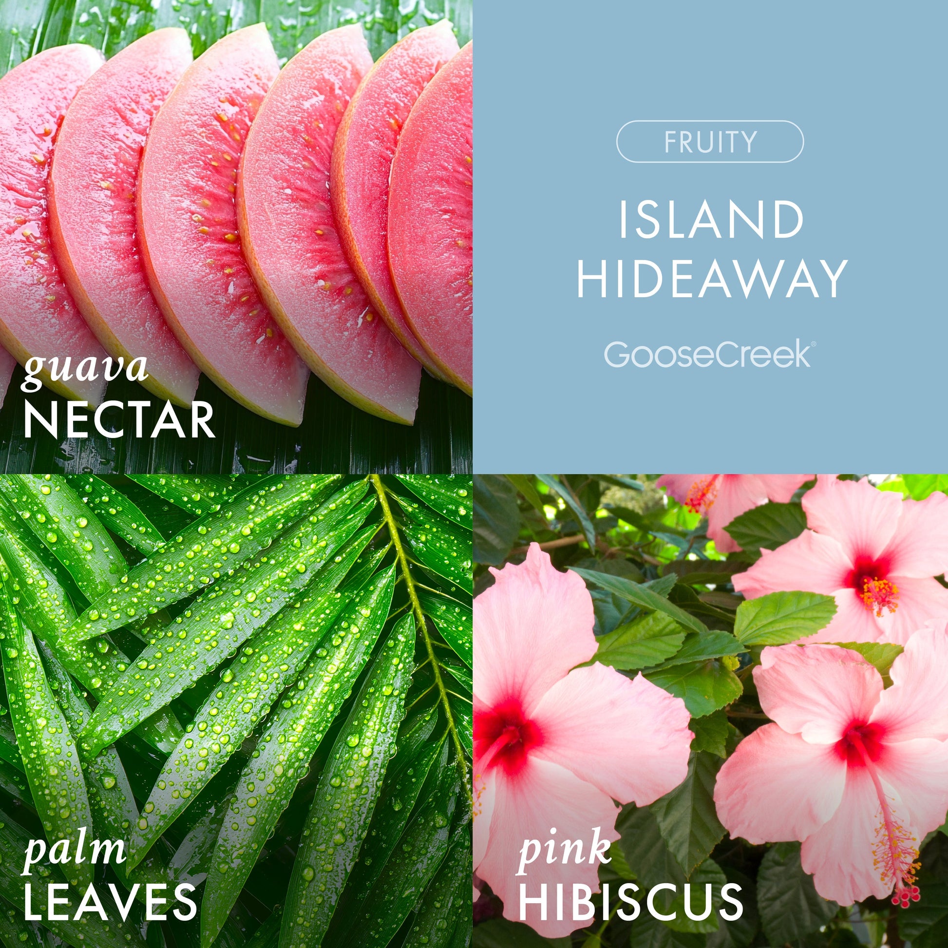 Island Hideaway 3-Wick Candle