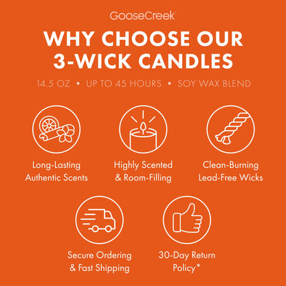 Nickelodeon 3-Wick Candle